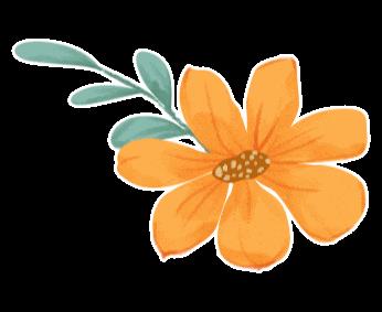 祝贺约克仪器北京测量与分析中心设立