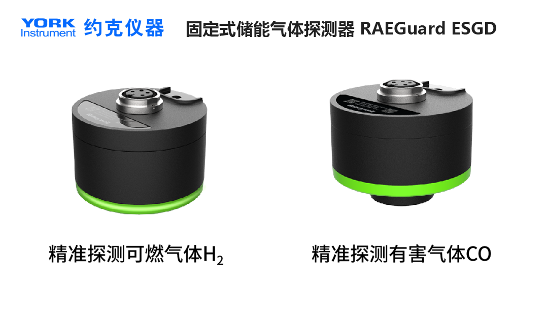 新品速递--储能气体探测器RG ESGD