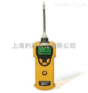 可燃气 / 有毒气体检测仪 SearchRAE