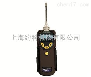 VOC 检测仪 ppbRAE 3000